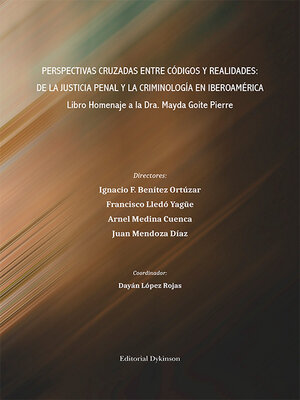 cover image of Perspectivas cruzadas entre códigos y realidades